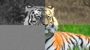 <!--:en-->ziilabs_opencl_image_filters<!--:-->