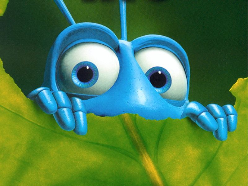 bug bug