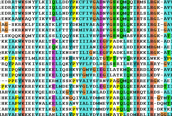 sequence_alignment sequence_alignment
